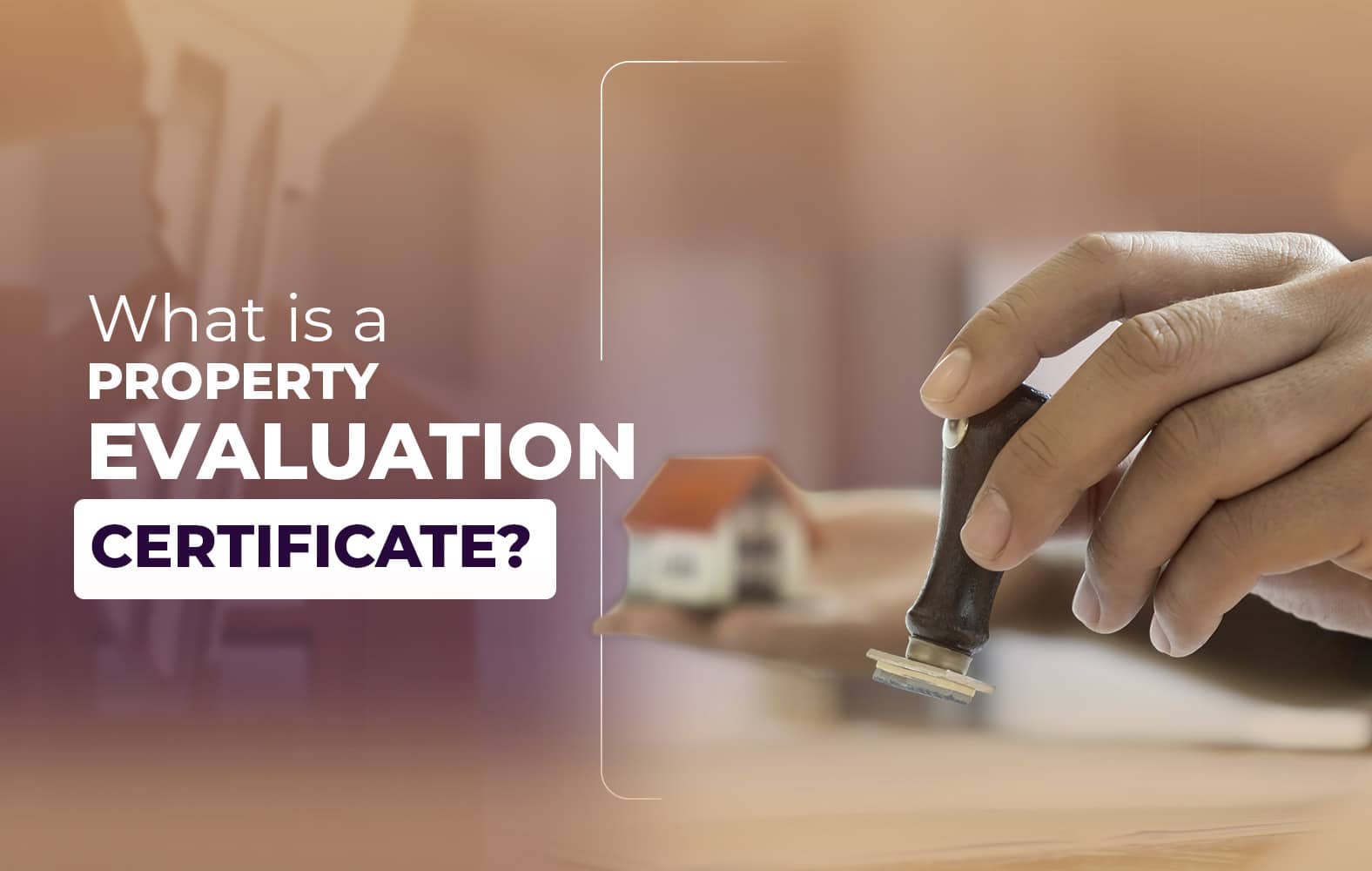 What is the elevation certificate of a property for?